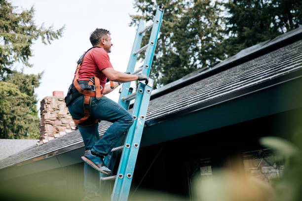 Best Roof Insulation Installation  in Hamilton, MT