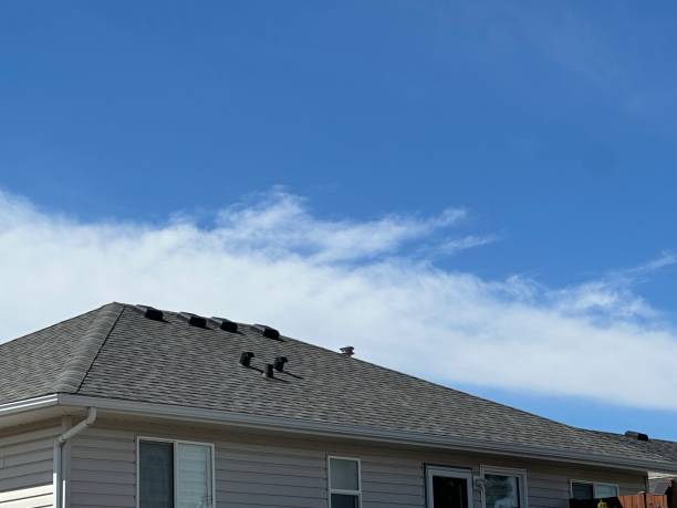 Skylights in Hamilton, MT